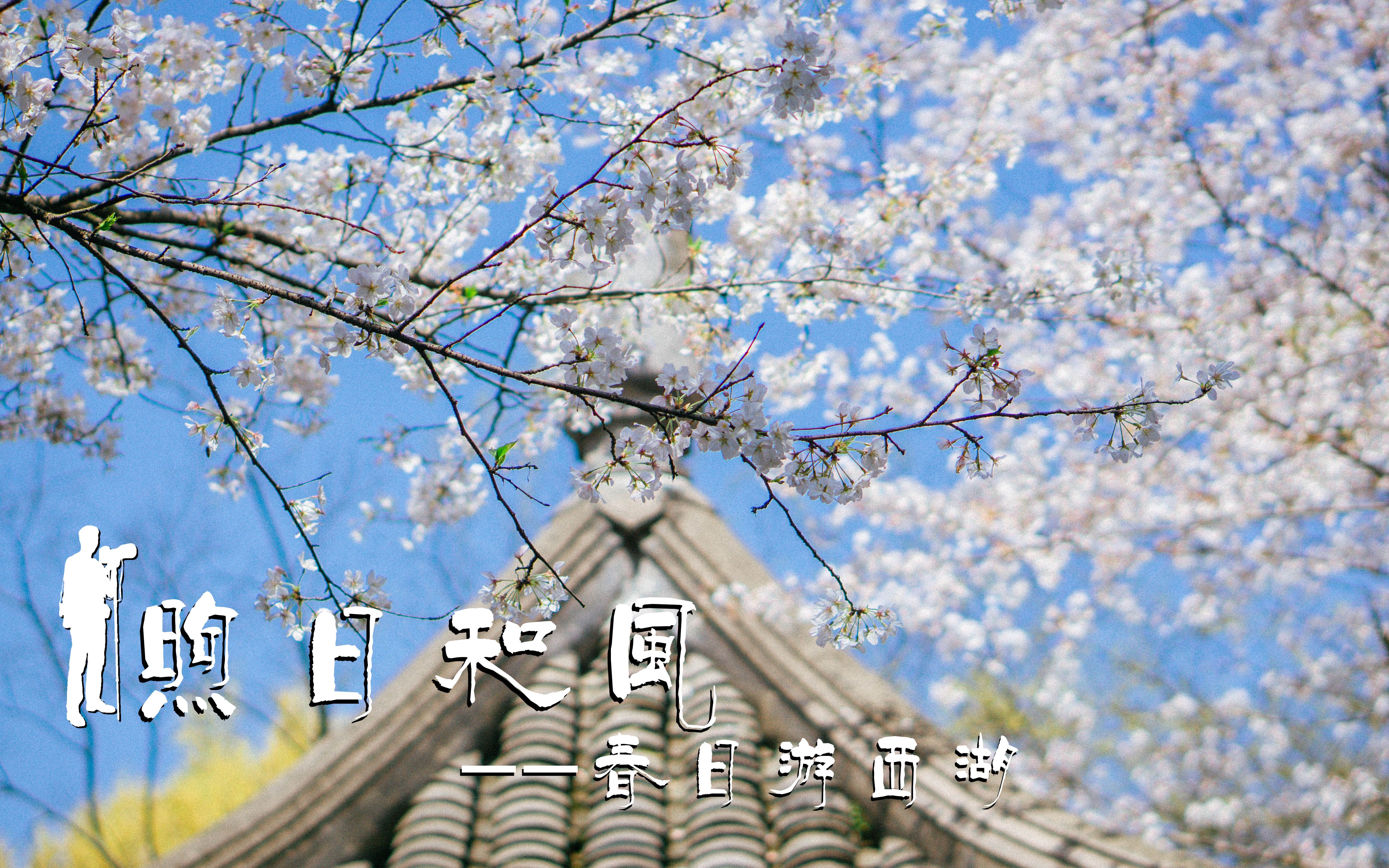 和风煦日-戴着口罩也要荡一荡【sony a6000 50 1.8】