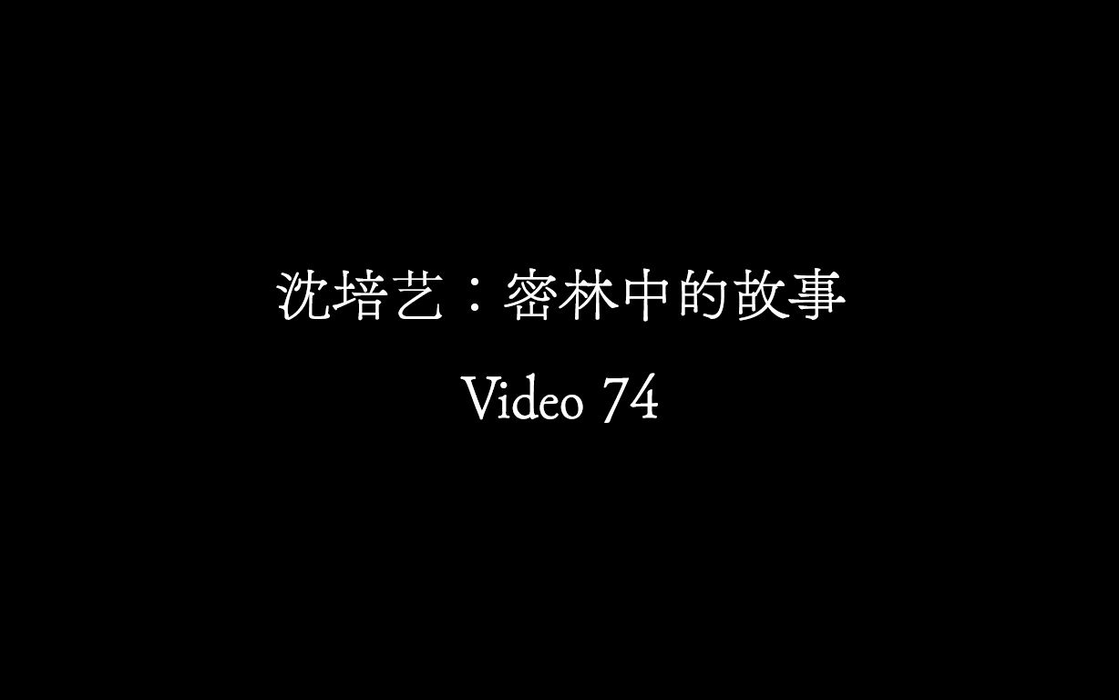 【Video 74】沈培艺《密林中的故事》哔哩哔哩bilibili