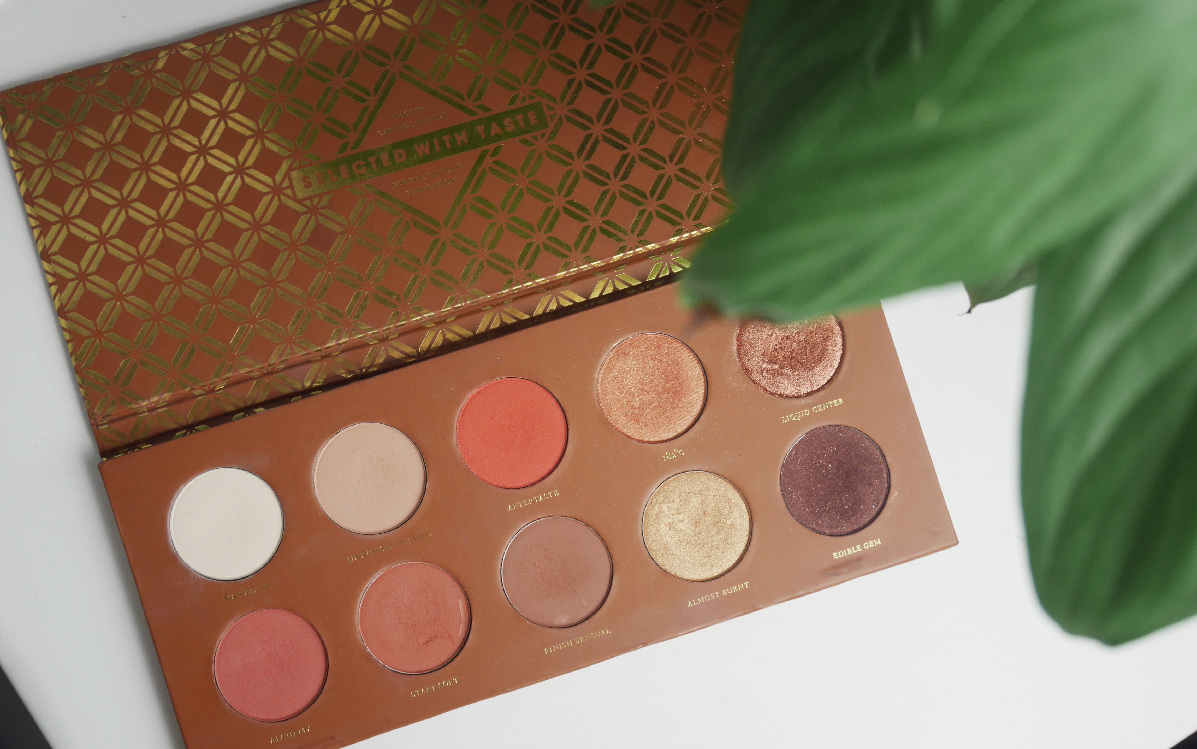 大热zoeva南瓜盘四种画法