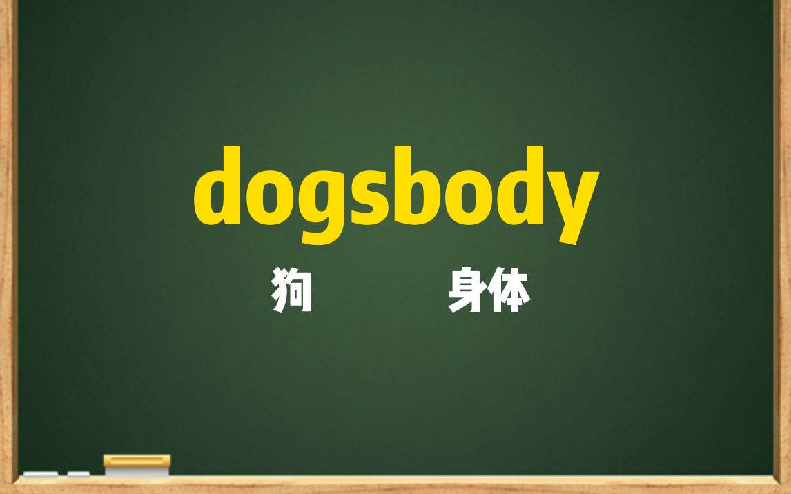 一秒钟记个单词“dogsbody”哔哩哔哩bilibili