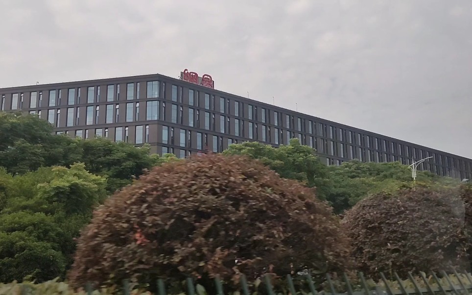 杭州滨江网易总部环境优美虽然楼不高却很有气势
