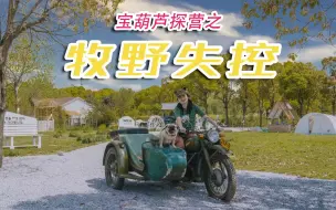 Download Video: 在摄影基地里露营感觉怎么样？宝葫芦带你探访上海松江牧野失控玩家营地