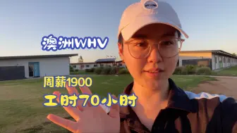 Download Video: 澳洲WHV｜上周工时70小时，周薪破1900刀啦