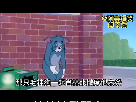 衰小,创噶麦探甲! #搞笑视频 #闽南语 #方言配音 #经典动画 #猫和老鼠