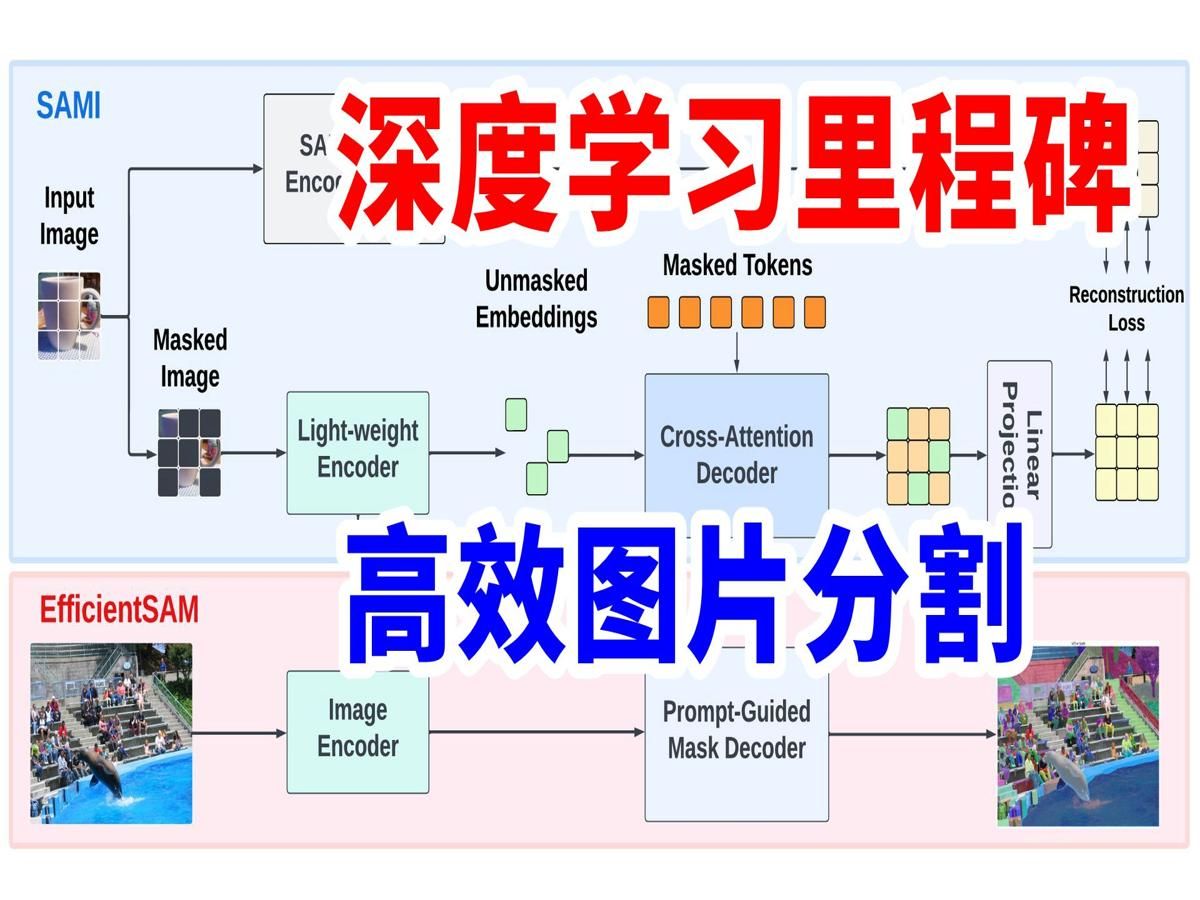 深度学习里程碑!高效的图片分割,比之前方法快30倍,性能不降反升!EfficientSAM讲了什么?哔哩哔哩bilibili