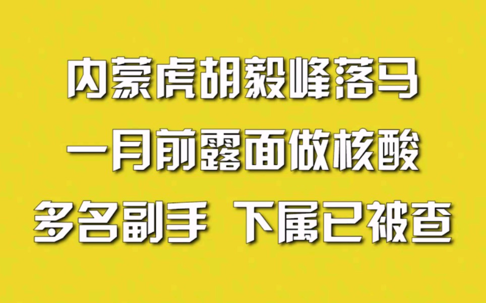 内蒙虎胡毅峰落马 ,一月前露面做核酸,多名副手、下属已被查哔哩哔哩bilibili