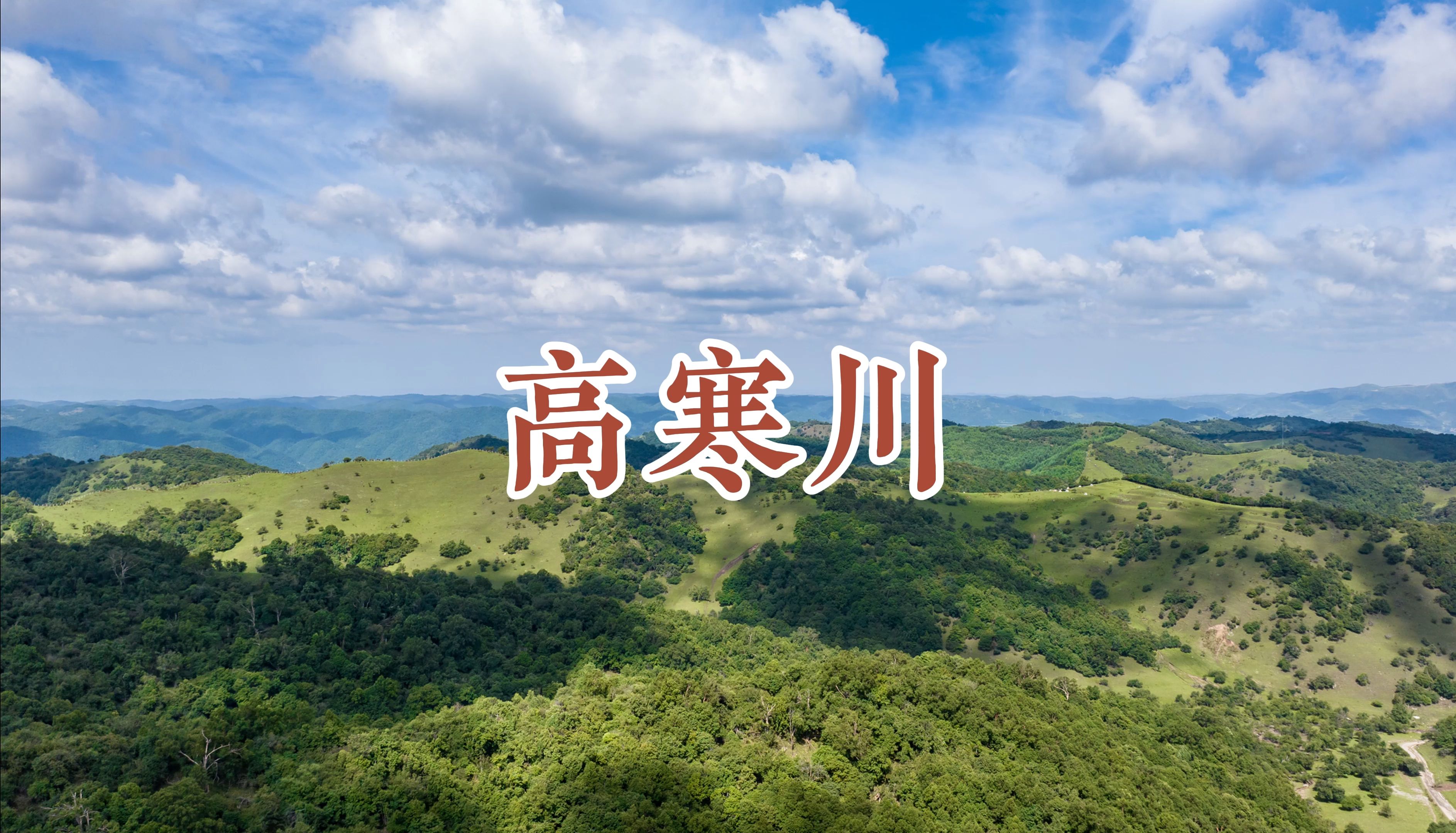 陇县关山未开发的高山草甸高寒川,景美,不要门票哔哩哔哩bilibili