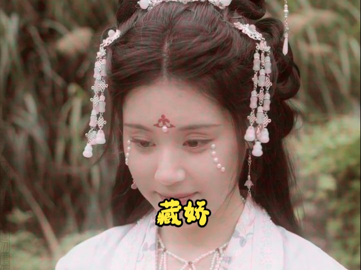 藏娇哔哩哔哩bilibili