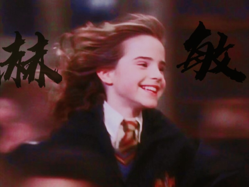 【赫敏·格兰杰】我们人美心善又机智勇敢的天才巫师小姐