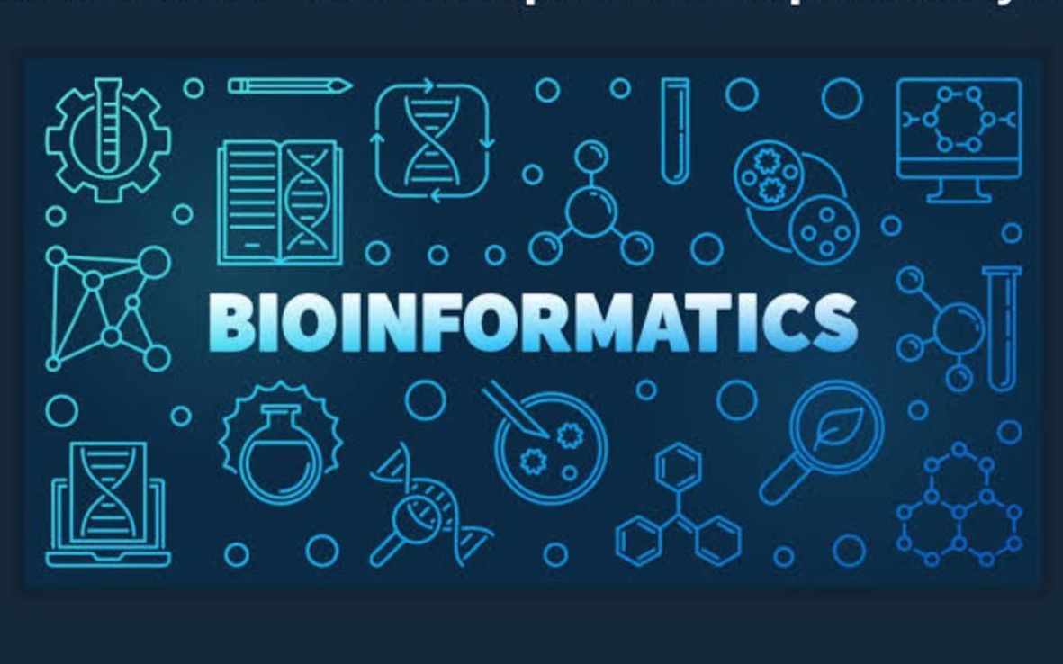 山东大学生物信息学