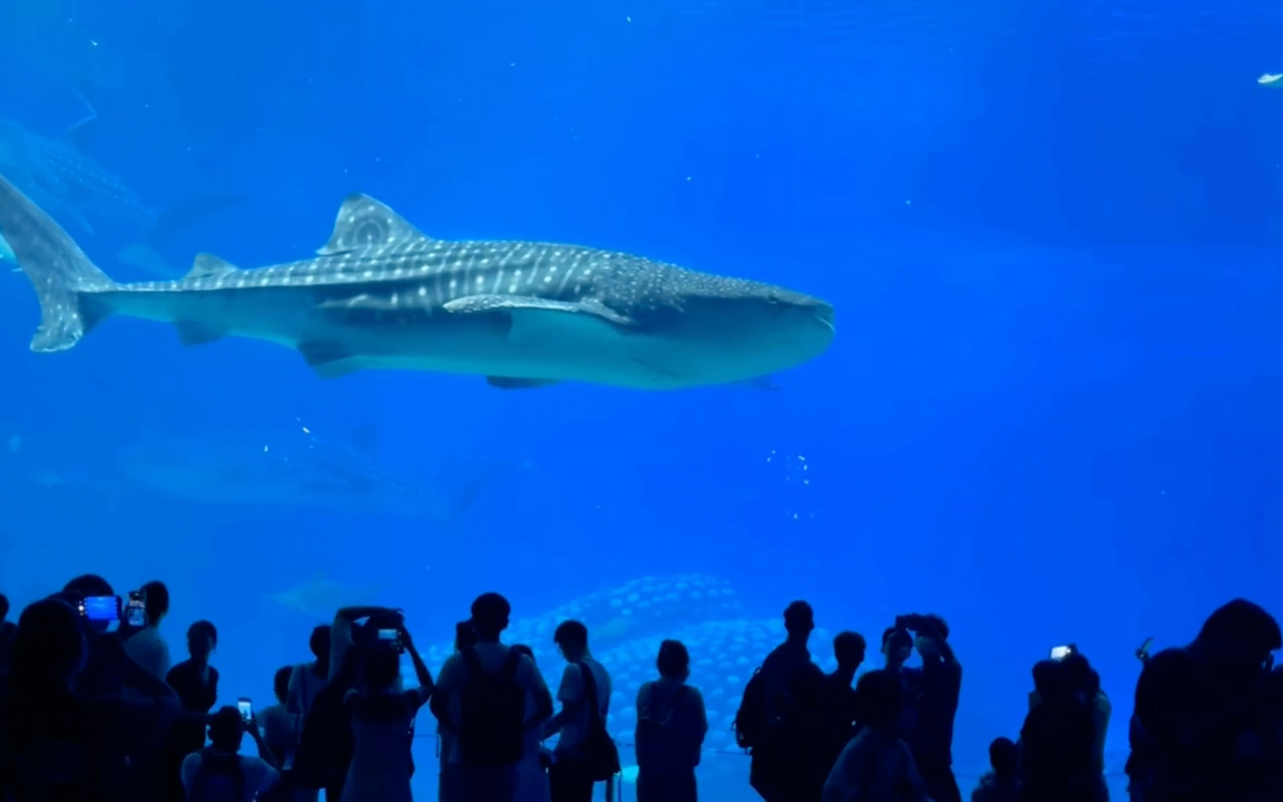 珠海海洋世界