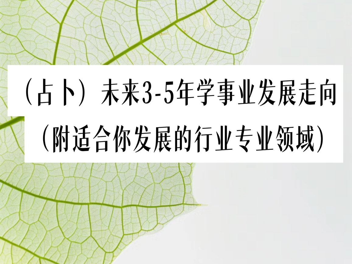 (占卜)未来35年学事业发展走向(附你适合的行业专业领域 )timeless哔哩哔哩bilibili