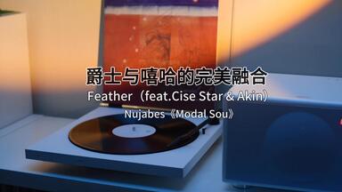 Nujabes - Perfect Circle feat.Shing02 [Official Audio]_哔哩