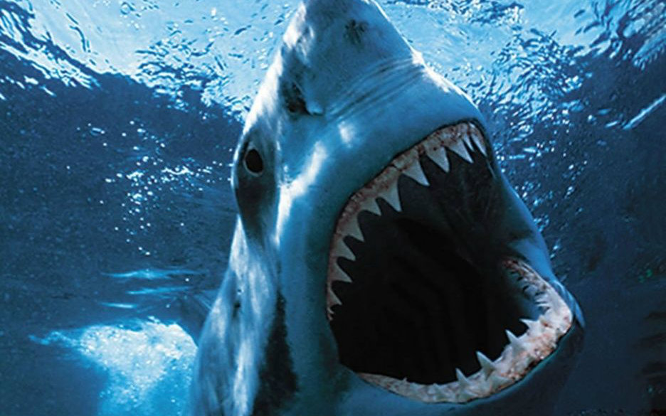 csol咆哮—愤怒的狂鲨,从未见过生化如此激情