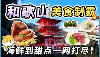 原来和歌山这么好吃！从新鲜海味到甜点，必吃美食大公开！最鲜的「生」金枪鱼料理、生魩仔鱼丼、汤浅酱油、金山寺味噌，到和歌山拉面、梅子汉堡等特色料理，带你一次吃遍!