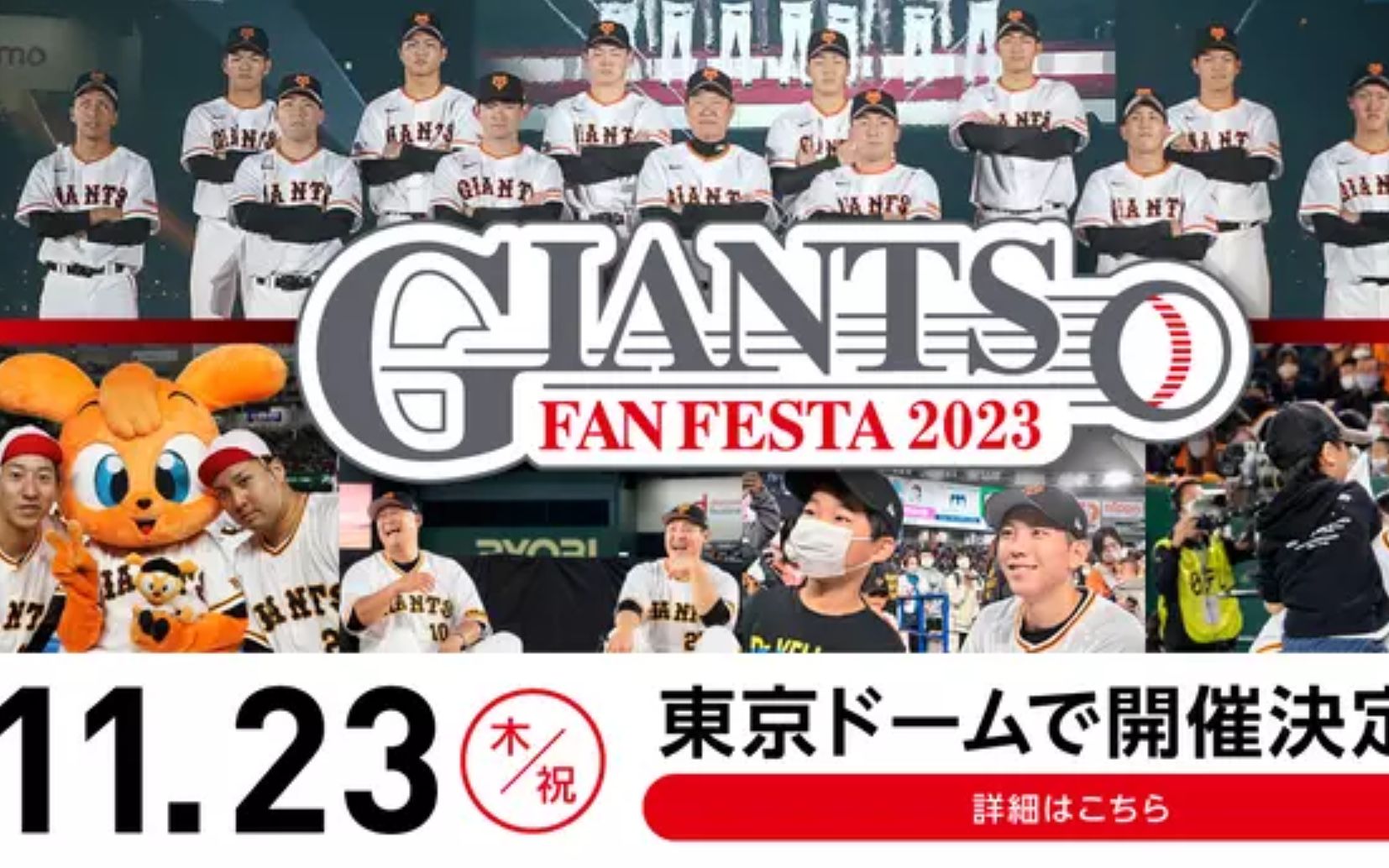 [图]GIANTS FAN FES--GAME CUT