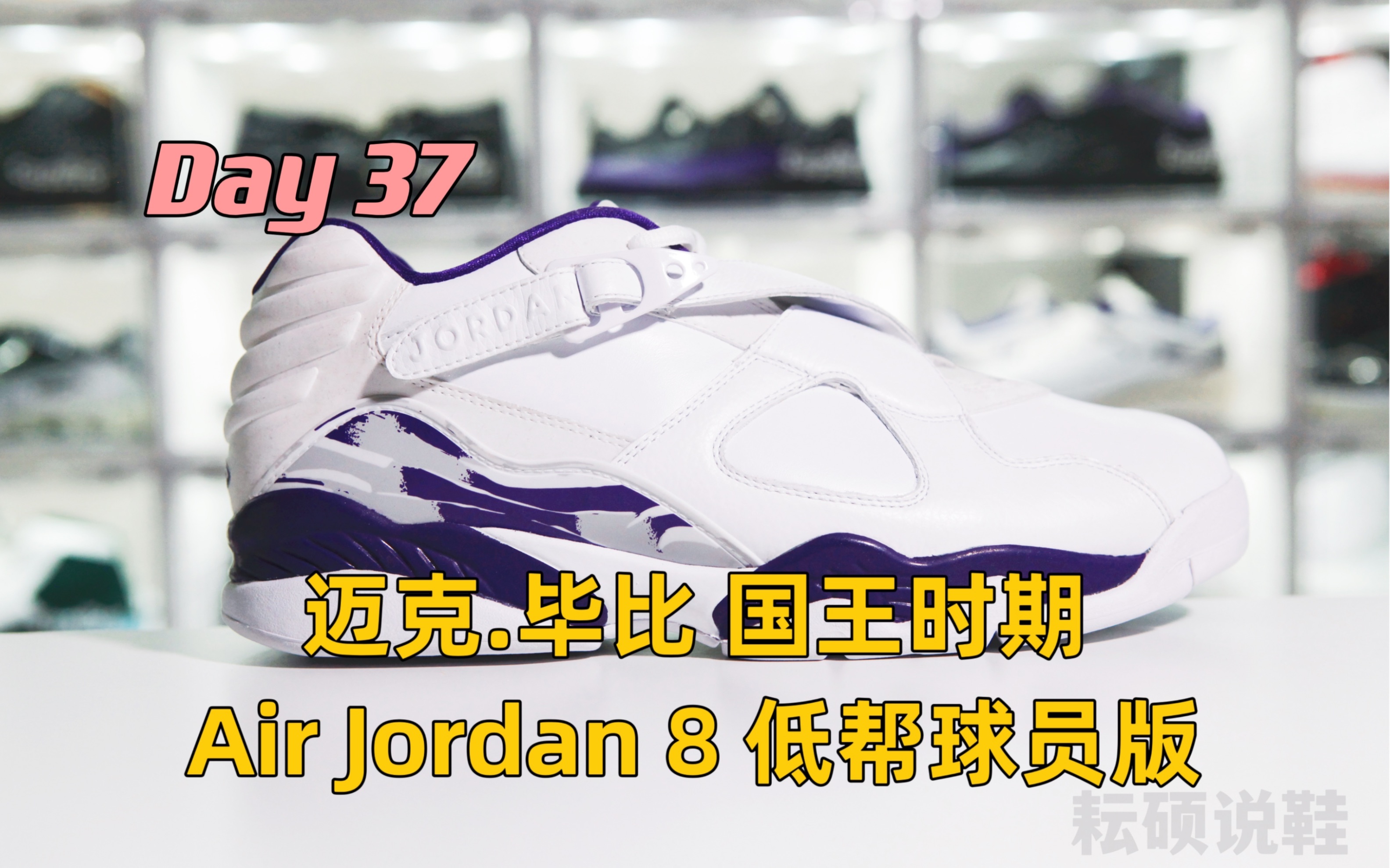 一天一鞋一故事 Day 37 迈克ⷮŠ毕比 2008年国王时期 Air Jordan 8 低帮球员版球鞋哔哩哔哩bilibili