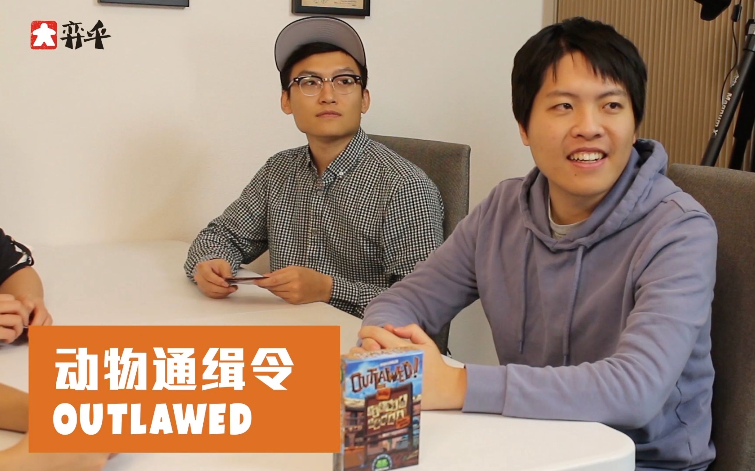 桌游试玩动物通缉令桌游游戏视频新手局