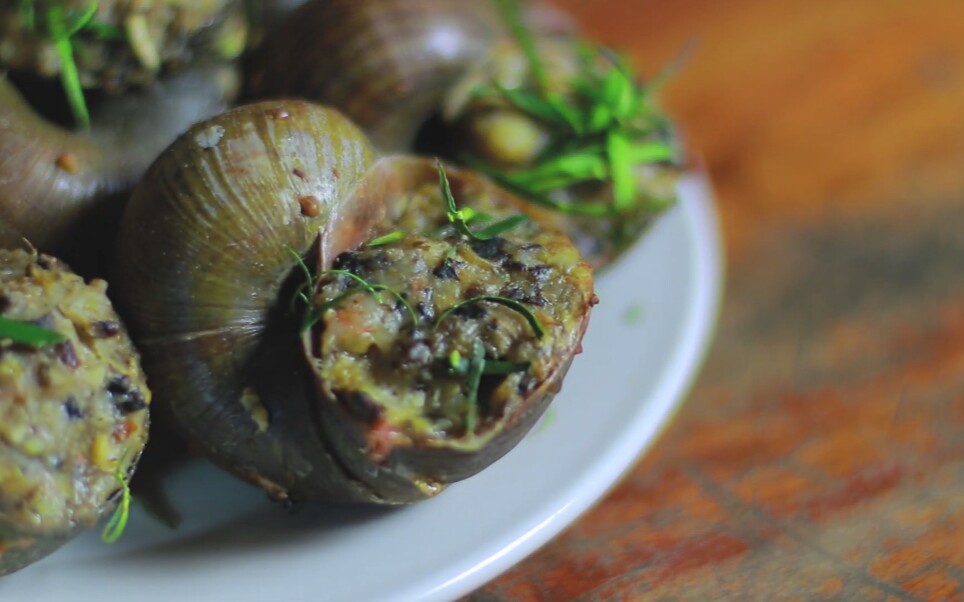 柬埔寨大自然厨房-酿烧特大号蜗牛(田螺)食谱-11月12日21点_哔哩哔哩