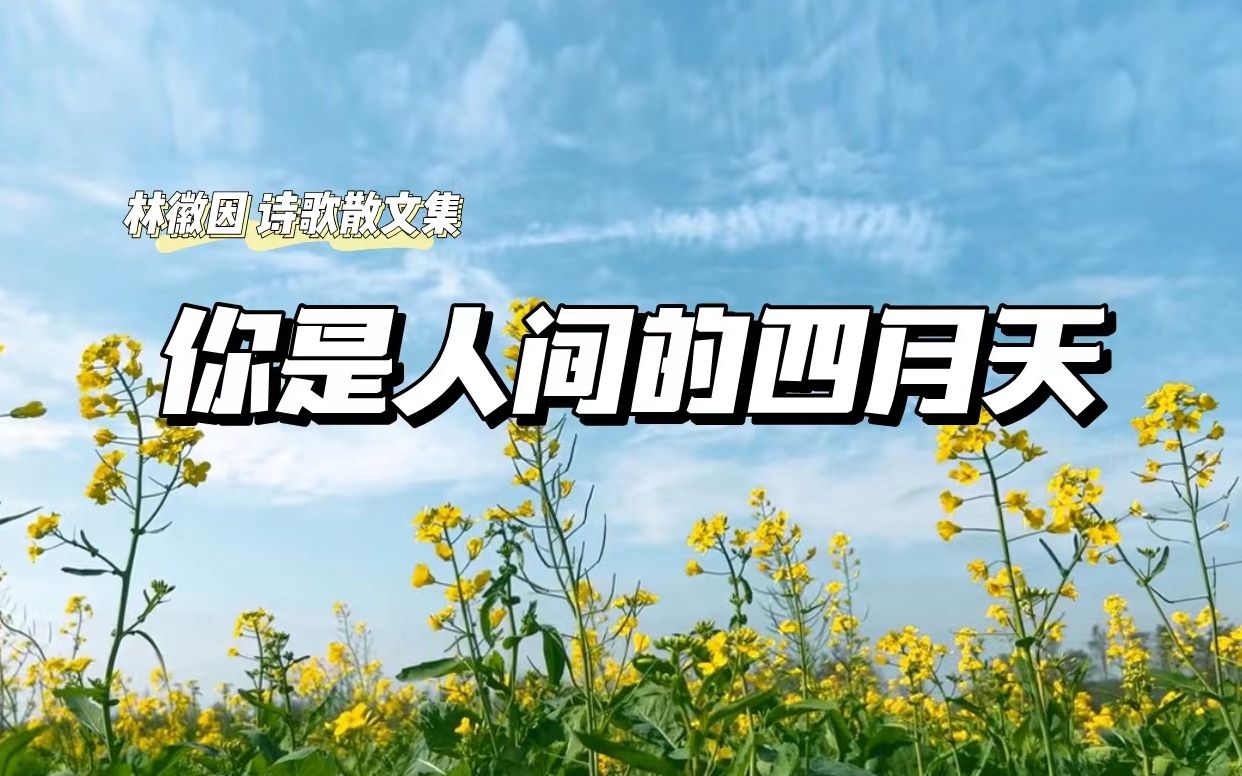 【林徽因 诗歌散文朗诵】 你是人间的四月天