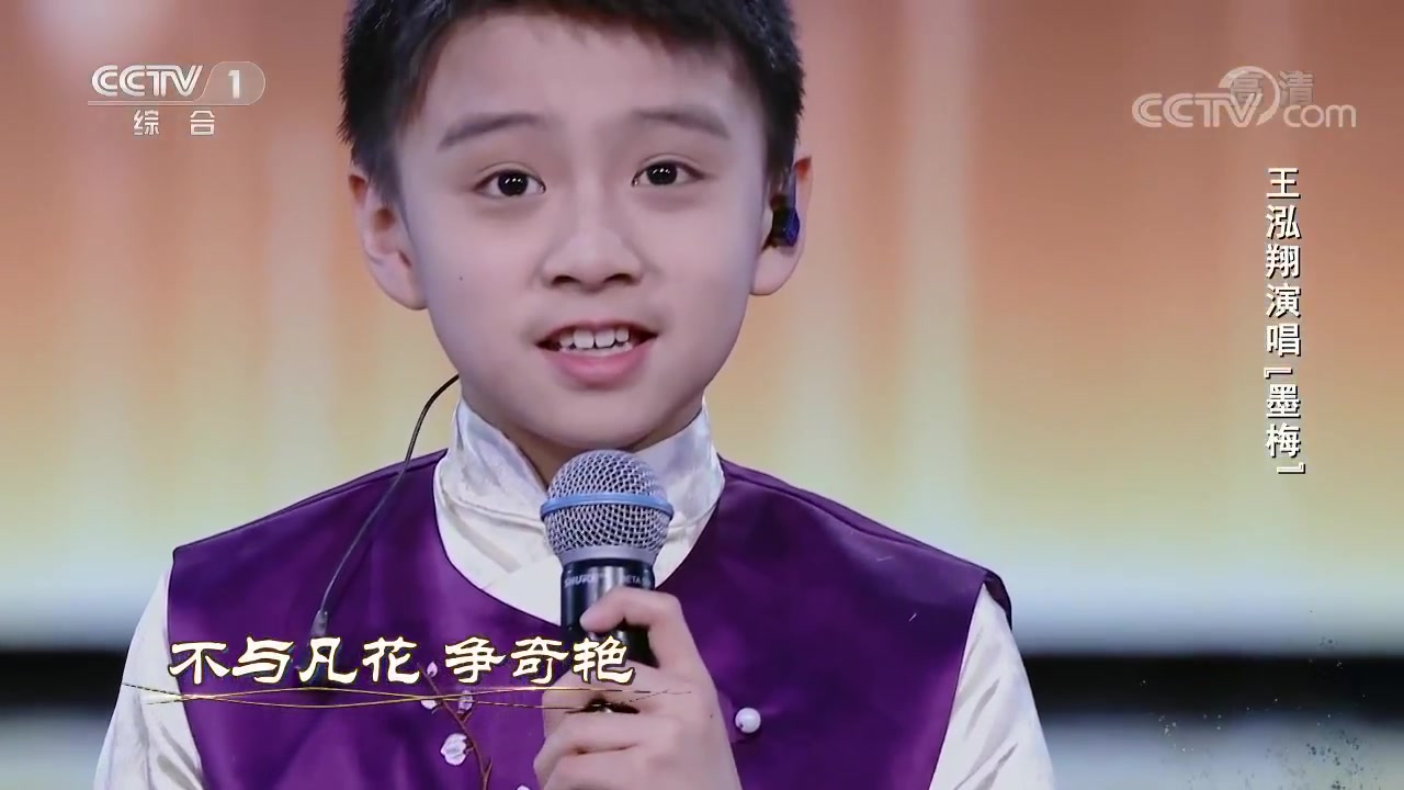 经典咏流传纯享版墨梅演唱王泓翔