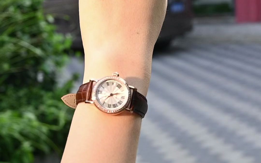 海鸥小表盘女士机械表1046l