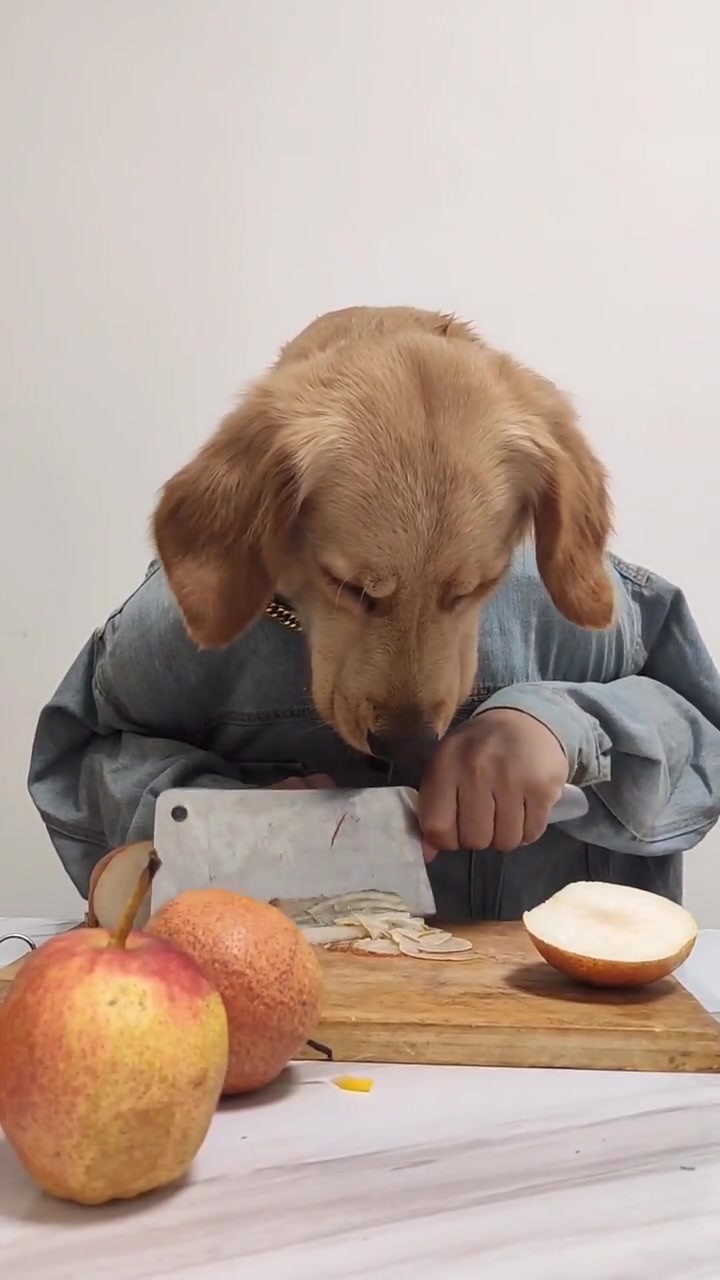 狗头先生"切着吃才有灵魂"