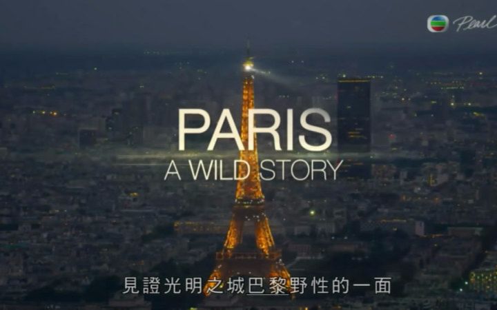 [图]野性巴黎 Paris A Wild Story 合集 (明珠台,粵語中字)