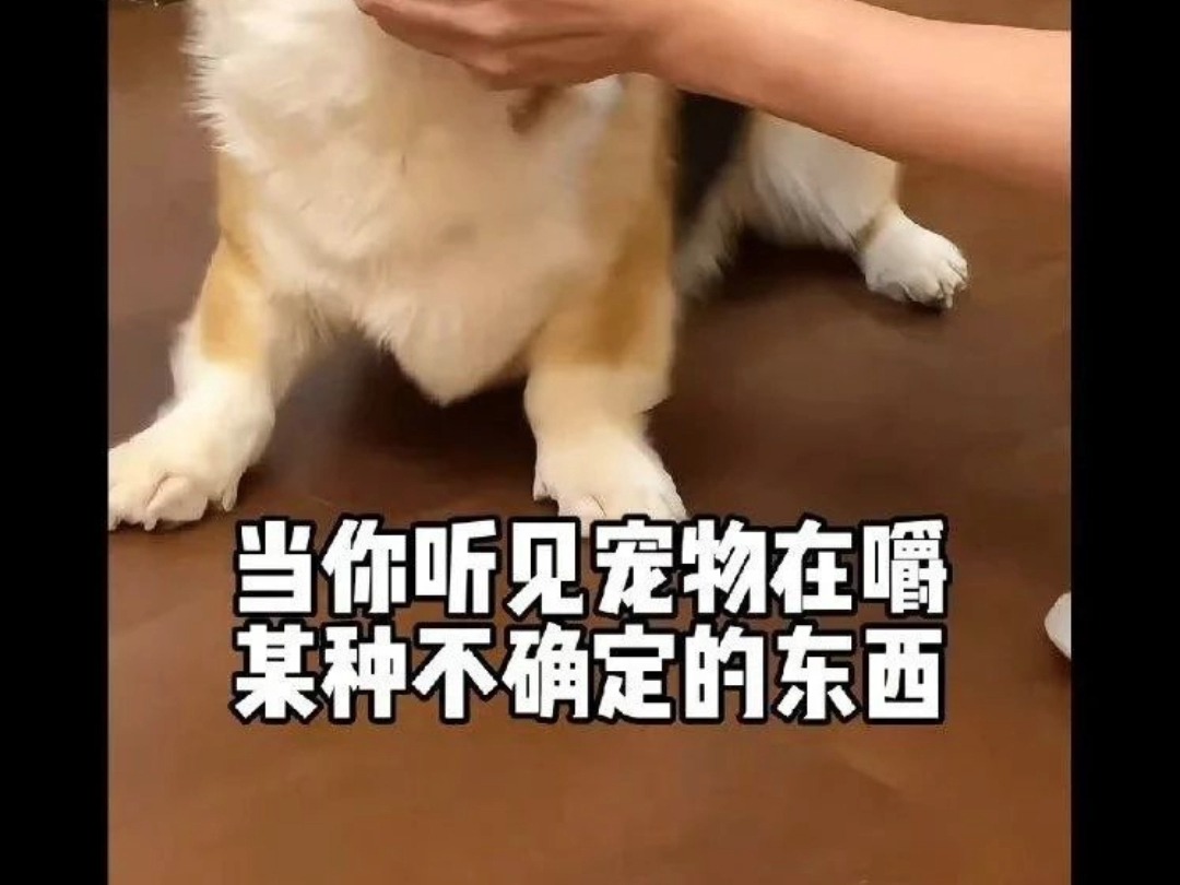 雕图乐一乐(14)哔哩哔哩bilibili