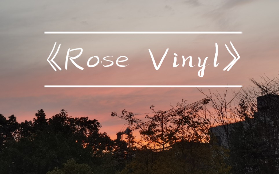 【张张瞎剪】《rose vinyl》(玫瑰唱机)-李海珊