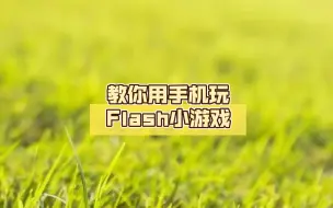 Download Video: 教你用手机玩Flash小游戏