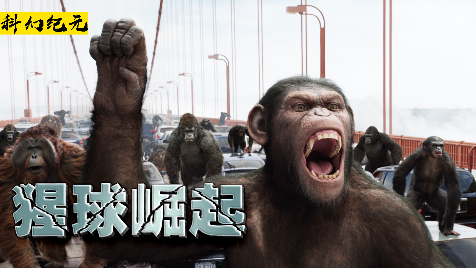 人类用猩猩做实验不料猩猩智力飙升猿族崛起暴打人类