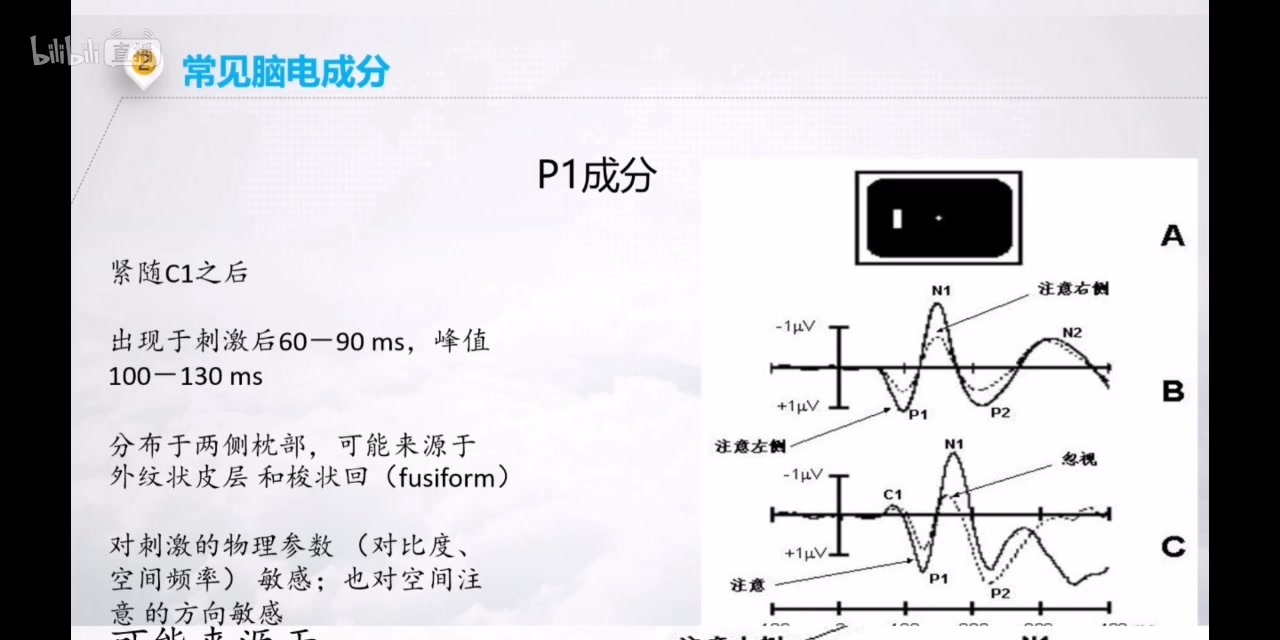 Psychology心理学【ERP理论】常见脑电成分哔哩哔哩bilibili