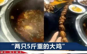 Download Video: 一只鸡有一米多长脖子？餐馆老板娘急了：顾客没要成优惠，泼脏水