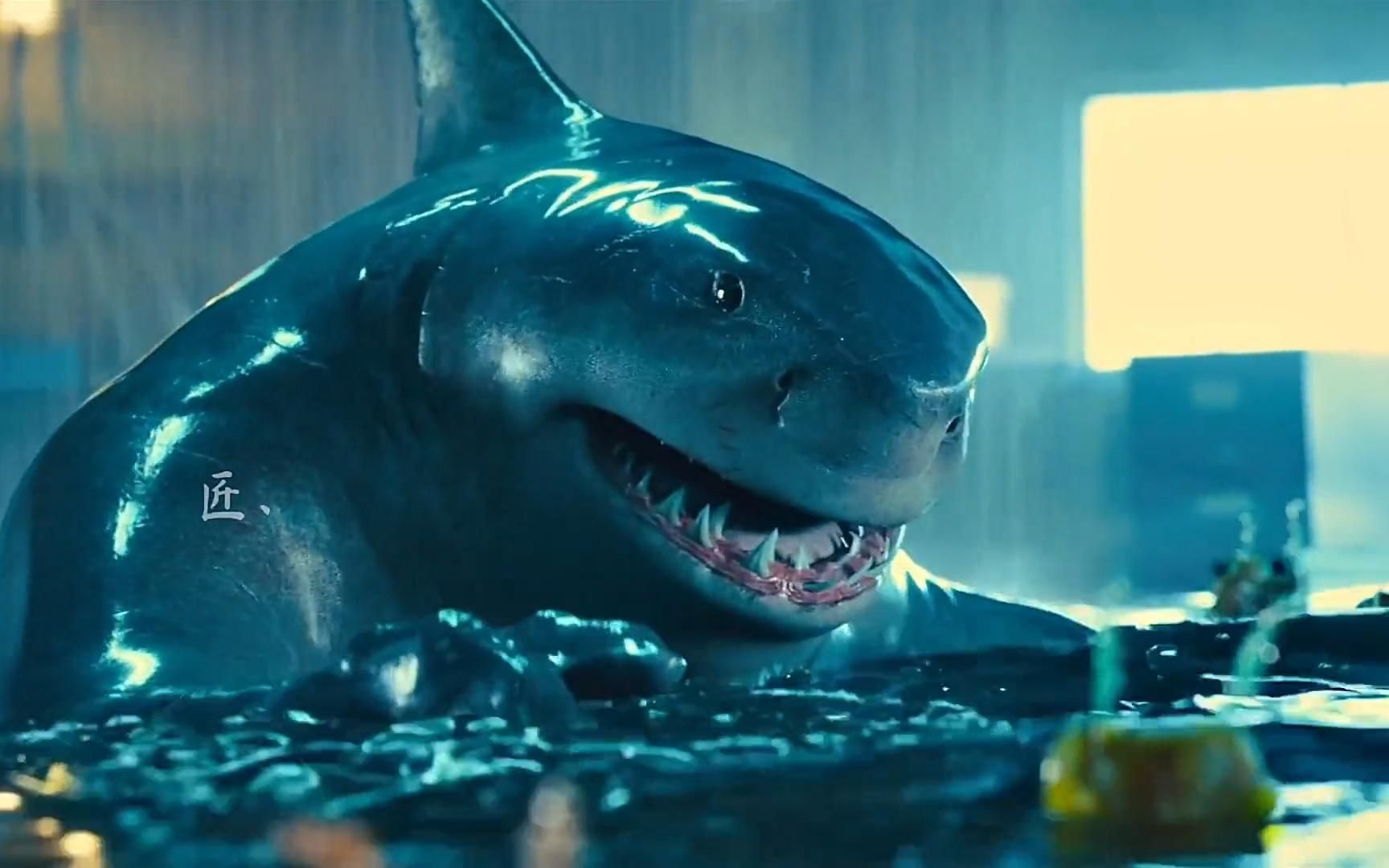 想不到吧!可爱蠢萌的鲨鱼王居然是史泰龙配的音!