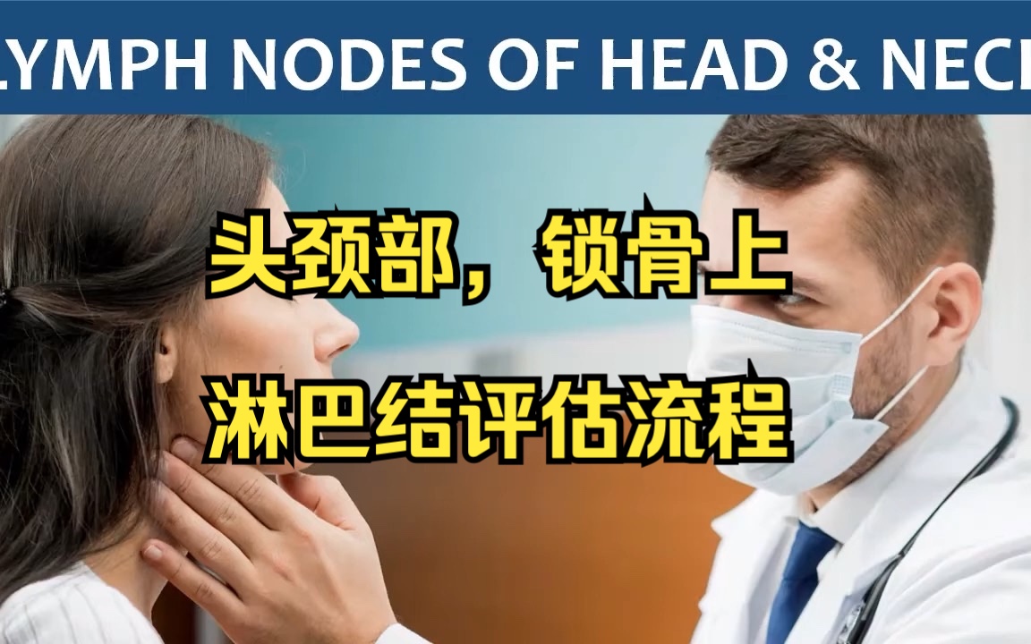 【油管】头颈部锁骨上淋巴结评估流程Examination of the Lymph Nodes of Head & Neck哔哩哔哩bilibili