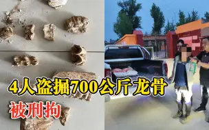 Download Video: 4人盗掘700公斤龙骨被刑拘：古脊椎动物化石俗称龙骨，可入药