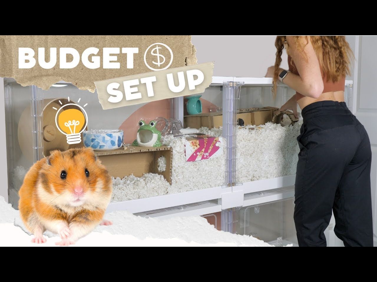 [Victoria]教你自制仓鼠用品!少花钱养好鼠 How to Set up a Hamster Cage on a BUDGET哔哩哔哩bilibili