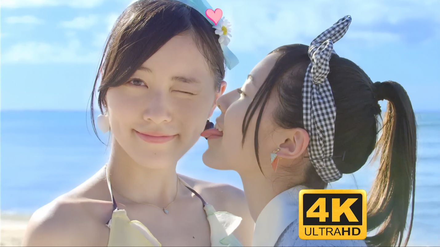 【4K60fps超清】AKB48 拉布拉多猎犬 ラブラドール・レトリバー Labrador Retriever哔哩哔哩bilibili