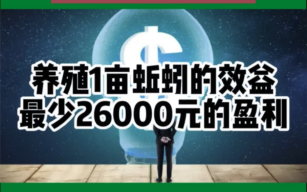 养殖1亩蚯蚓的效益每亩最少26000元的盈利哔哩哔哩bilibili