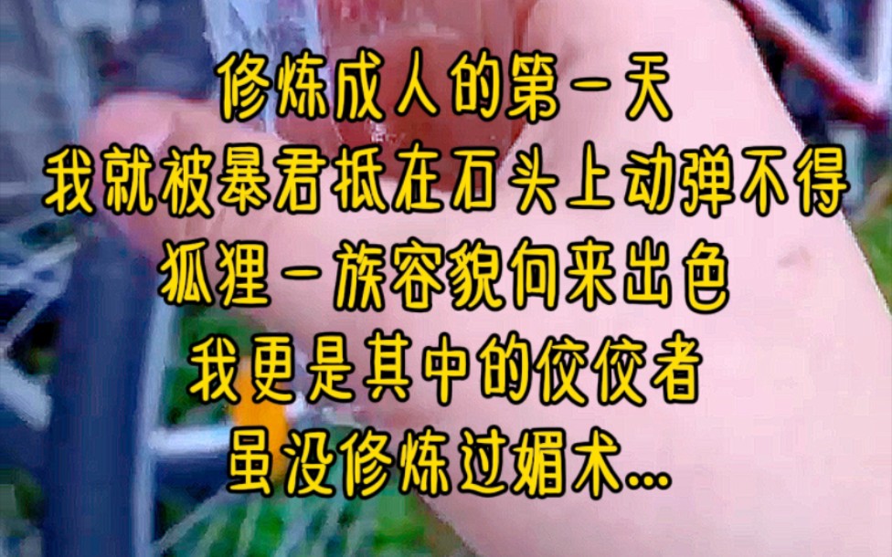 修炼成人的第一天,我就被暴君抵在石头上动弹不得,狐狸一族容貌向来出色,我更是其中的佼佼者,虽没修炼过媚术...《暴君的痴缠》哔哩哔哩bilibili