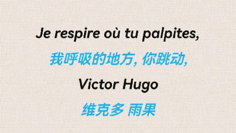 Je respire o㹠tu palpites  Victor Hugo哔哩哔哩bilibili