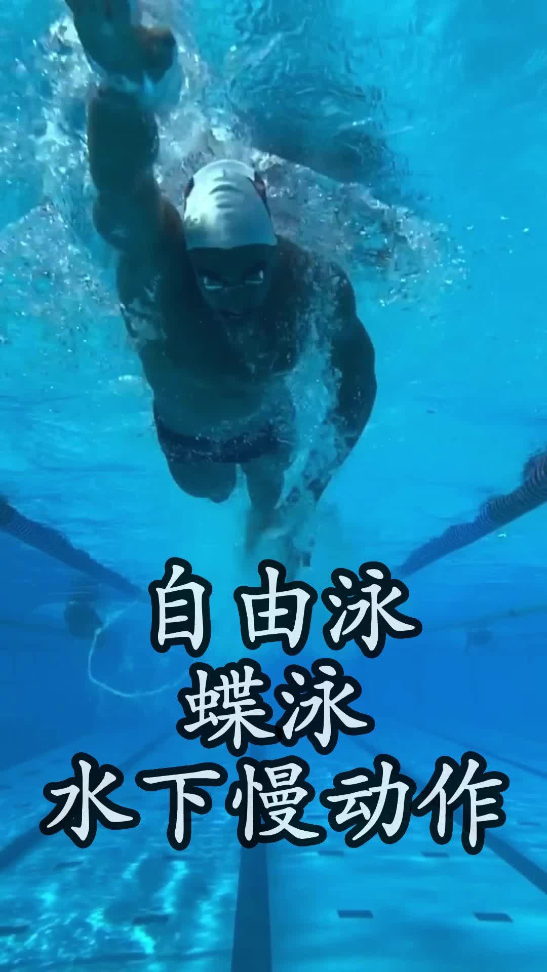 自由泳蝶泳水下慢动作欣赏哔哩哔哩bilibili