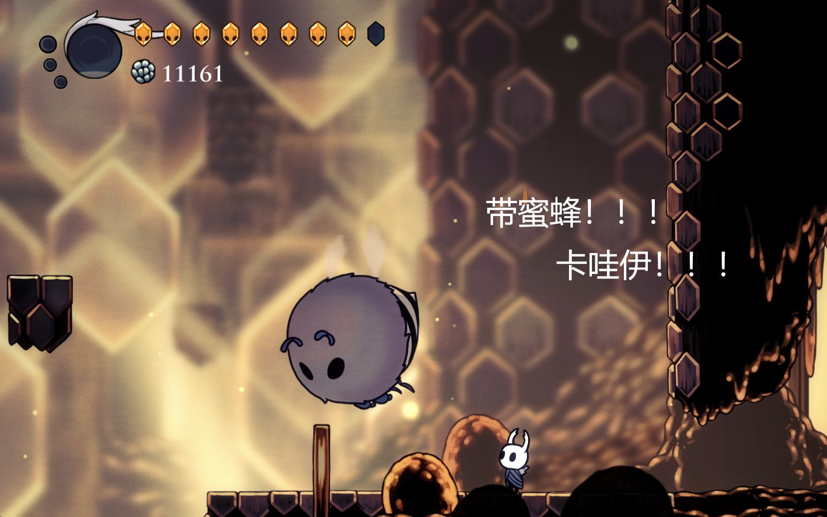 空洞骑士最可爱的带蜜蜂
