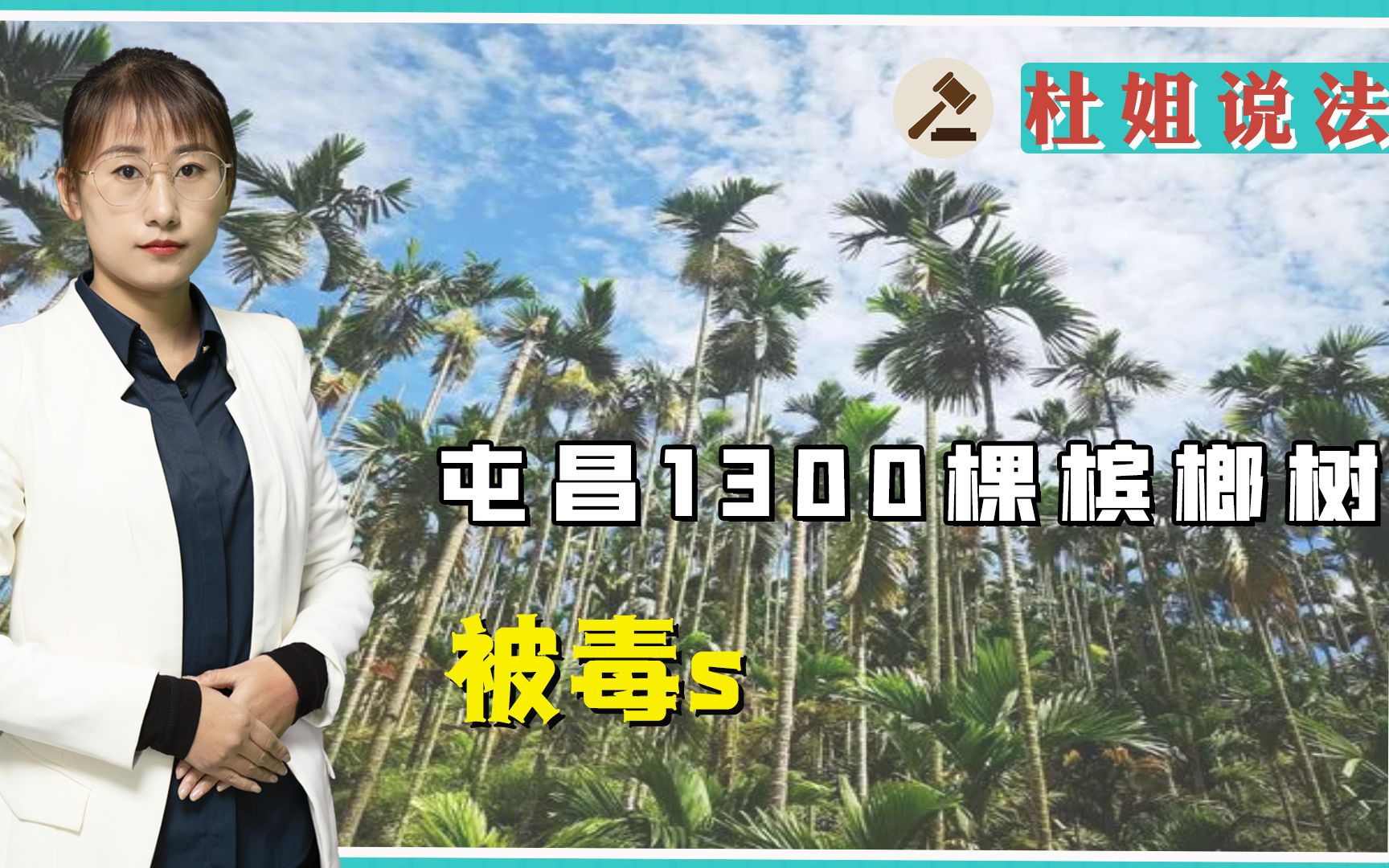 1300棵槟榔树被“毒”死,价值50余万!涉案人员应如何处罚?哔哩哔哩bilibili