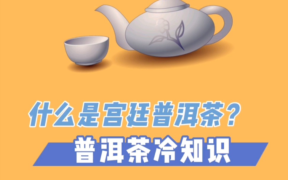 宫廷普洱是皇帝喝的茶?哔哩哔哩bilibili