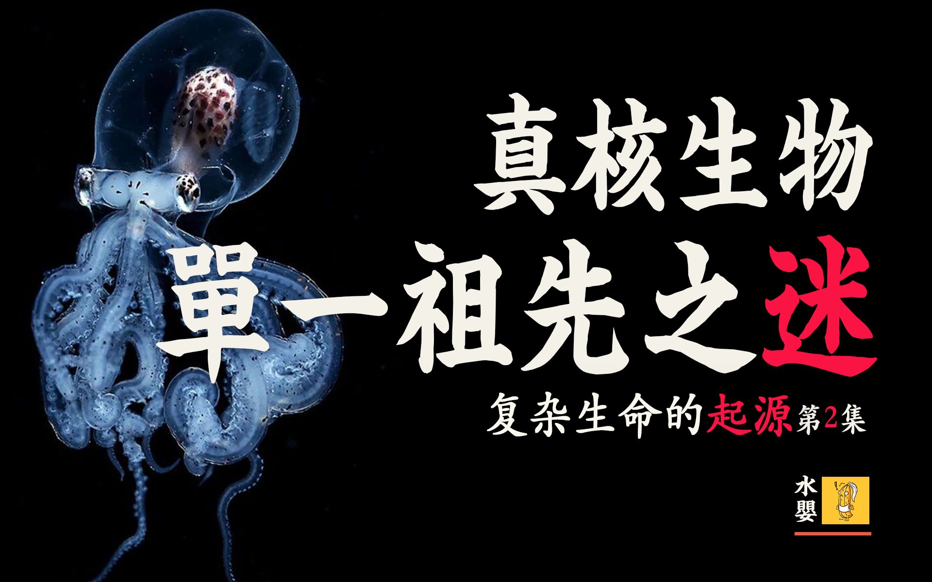 [图]进化史上的诡异事件，所有的真核生物只有一个共同的祖先【复杂生命的起源-第二集】【自制生物纪录片by水婴】