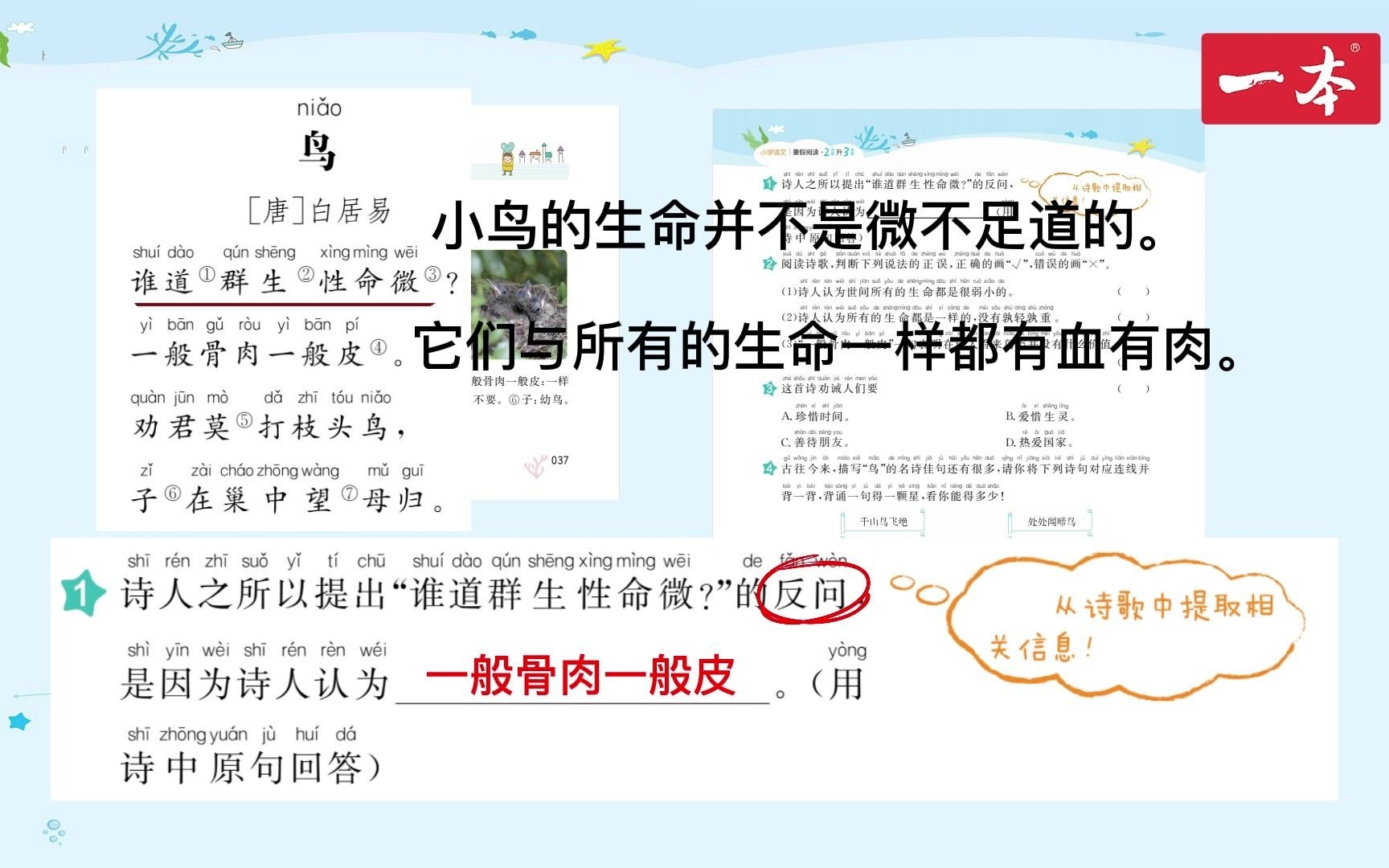 2021一本ⷥ𐏥�ﭦ–‡暑假阅读ⷲ年级升3年级ⷧ쬳周第6天《鸟》ⷮŠ答案视频解析哔哩哔哩bilibili