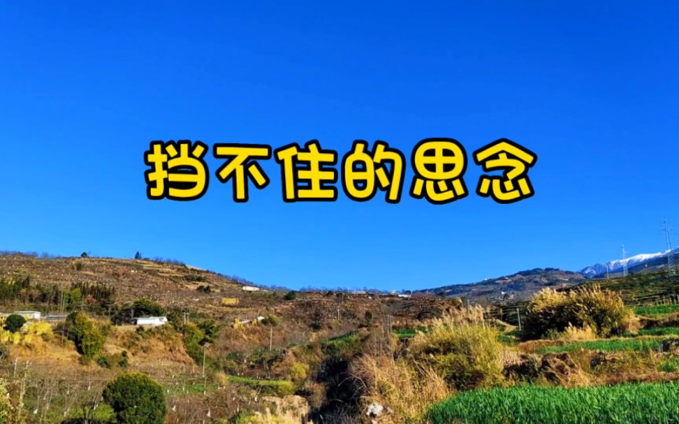 陝北民歌《擋不住的思念》