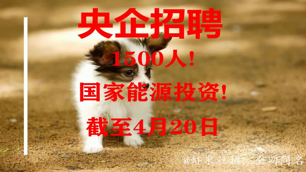 【国企招聘】1500人!国家能源投资!报名截至4月20日哔哩哔哩bilibili